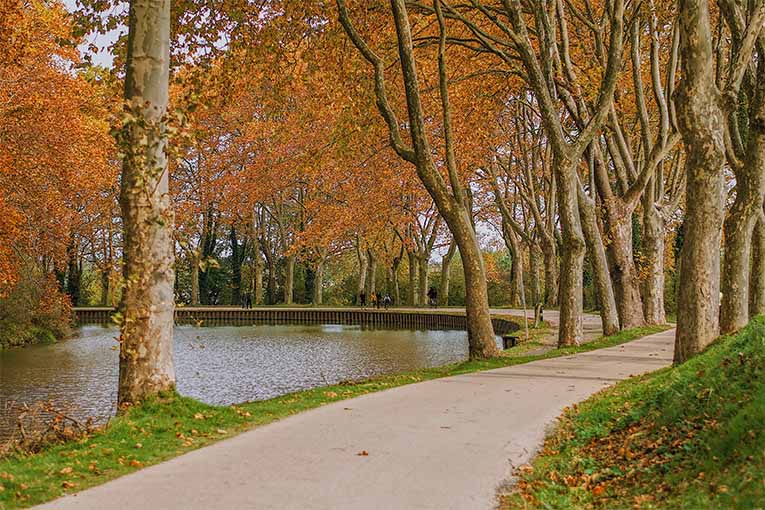 Camping Canal du Midi Camping les Violettes