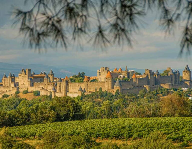 Carcassonne Camping les Violettes