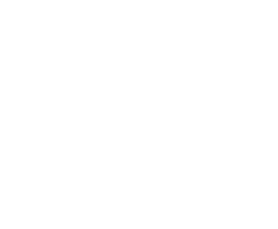 Logo Camping les Violettes