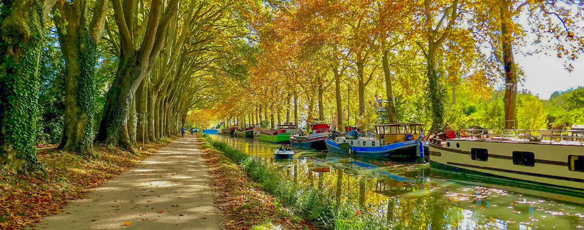 Discover The Canal Du Midi Boat Trips On The Canal Du Midi