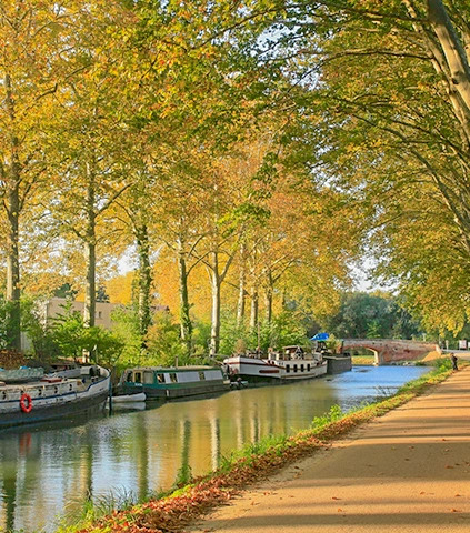 walk along the canal du midi